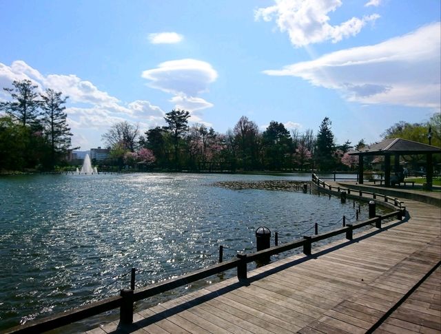 【常磐公園:北海道旭川市】四季折々に楽しめる公園🌳