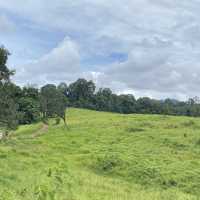อุทยานแห่งชาติเขาใหญ่ | KHAO YAI National Park 