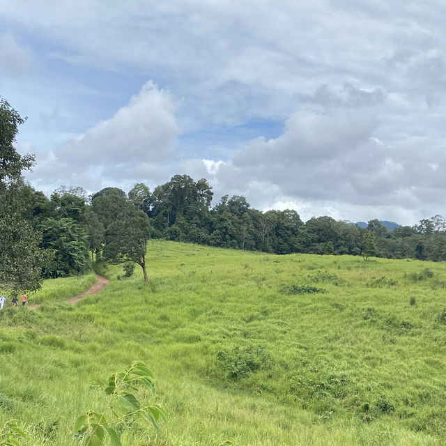 อุทยานแห่งชาติเขาใหญ่ | KHAO YAI National Park 