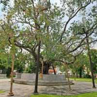 The Marble Temple(Wat Benchamabopitr Dusitvanaram)