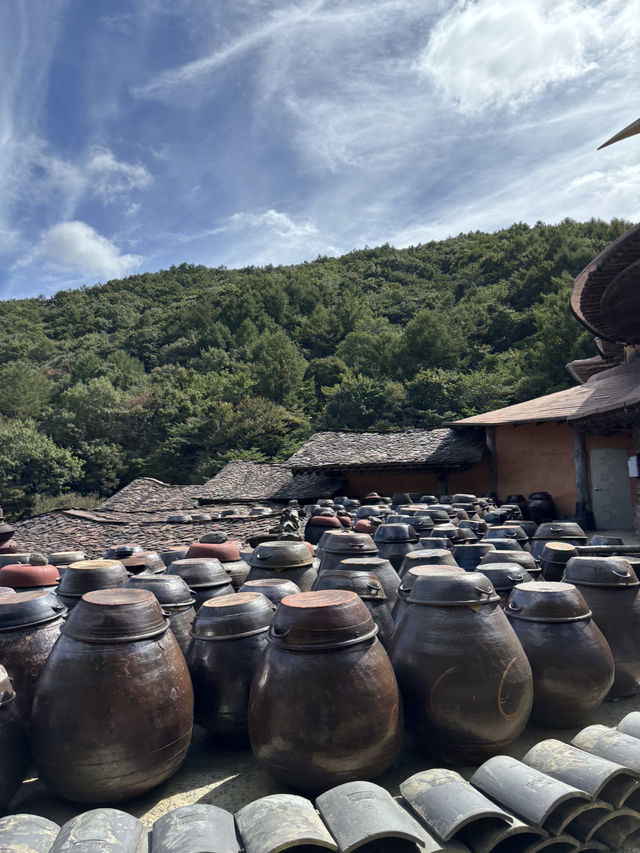 사람이 직접 쌓은 돌탑의 어마어마한 규모에 놀라는 삼성궁 ❤️