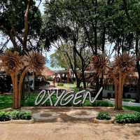THE OXYGEN BEACH FRONT OASIS PATTAYA 