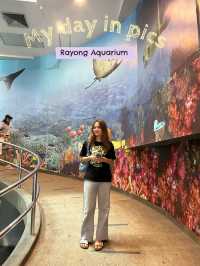 จุดถ่ายรูปสุดฮิตที่ Rayong Aquarium 🦈