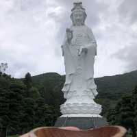 🇭🇰Tsz Shan Monastery & Wong Tai Sin temple🇭🇰