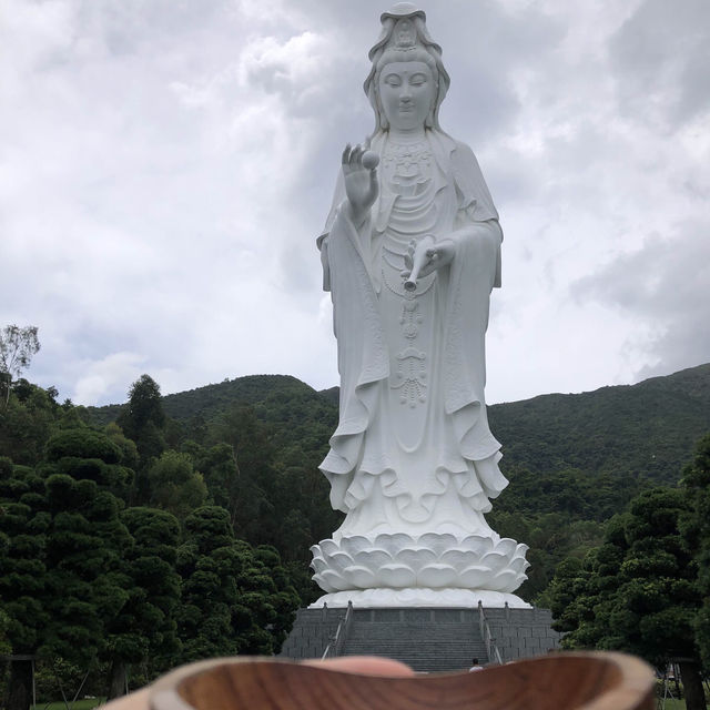 🇭🇰Tsz Shan Monastery & Wong Tai Sin temple🇭🇰