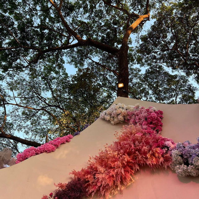 เที่ยวงานดอกไม้จ.เชียงราย 🌸