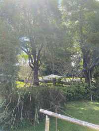 BUCOLIC คาเฟ่สุดฮิตที่เขาใหญ่