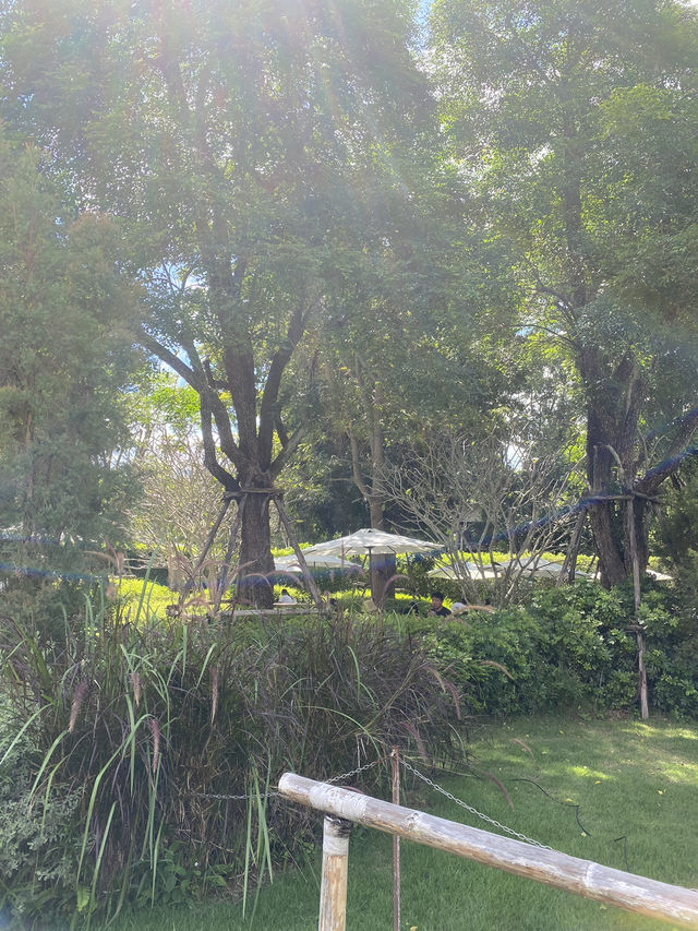 BUCOLIC คาเฟ่สุดฮิตที่เขาใหญ่
