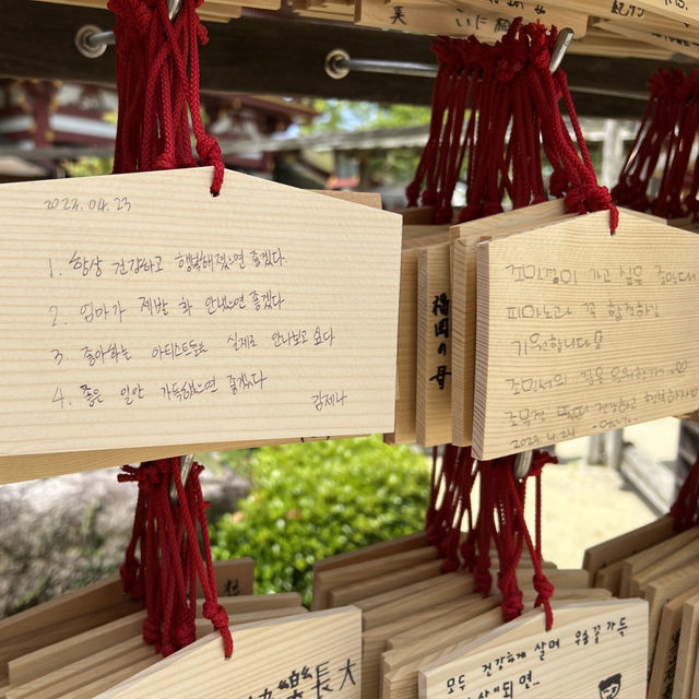포토존 많은 후쿠오카 여행지 다자이후텐만구!