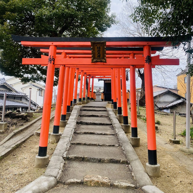 大坂ㅣ參天巨木加持ㅣ有神靈的澁川神社