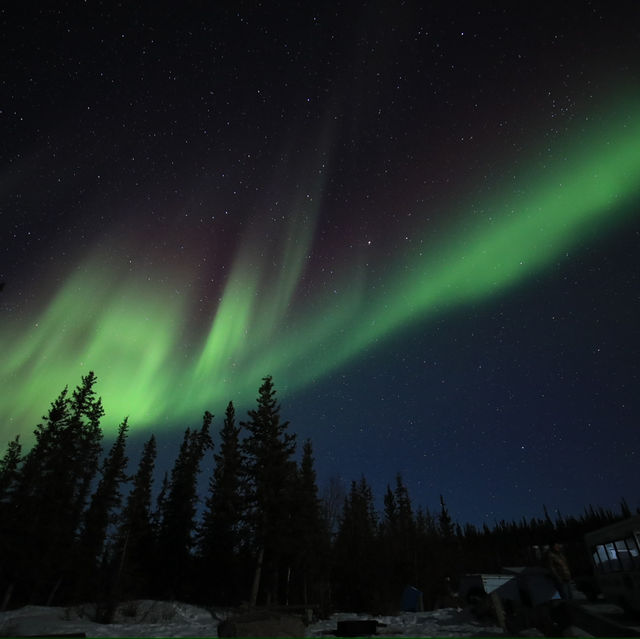ซักหนึ่งครั้งที่ Yellowknife 