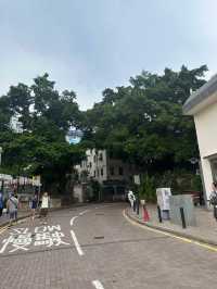 香港赤柱City walk一日遊