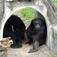 ZOO JOHOR