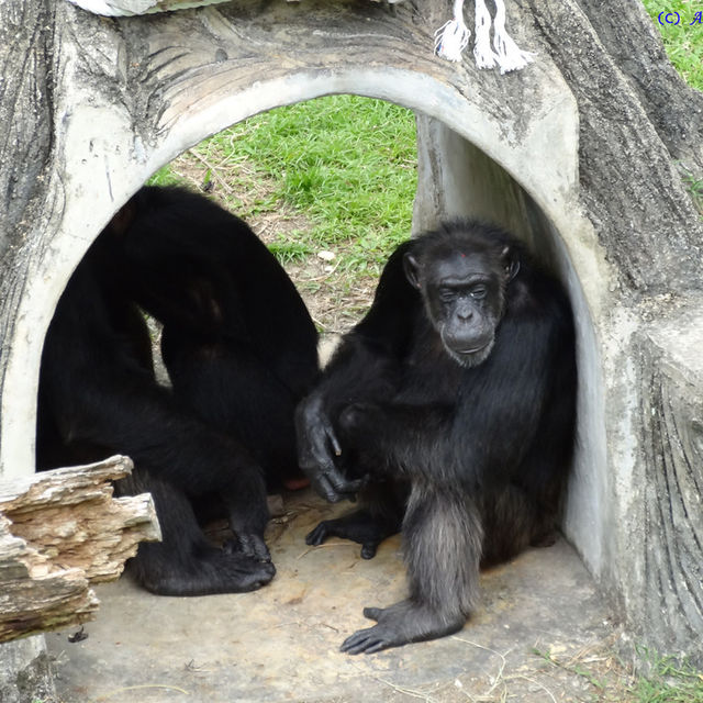 ZOO JOHOR ZOO JOHOR
