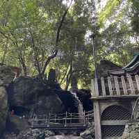 【圧巻！】福岡の南蔵院