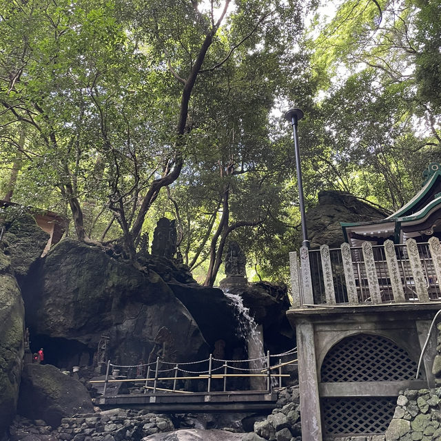 【圧巻！】福岡の南蔵院