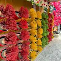 Snap-Worthy Scenery: Exploring the Beauty of Paina Nara!