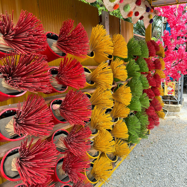 Snap-Worthy Scenery: Exploring the Beauty of Paina Nara!