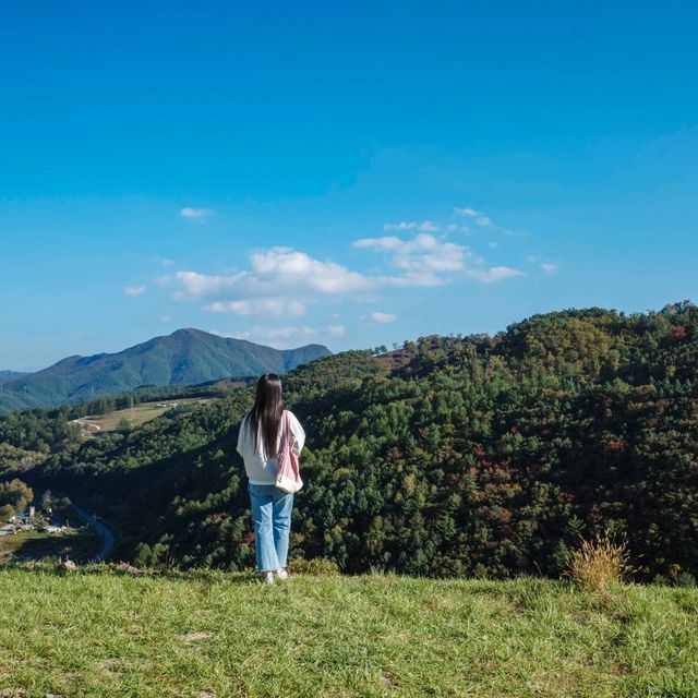 가을 태백을 온전히 느낄 수 있는 곳!