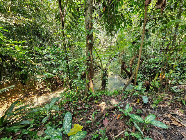 Hidden Gem: Windsor Nature Park