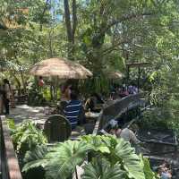 คาเฟ่ ที่เป็นมากกว่าคาเฟ่ เป็นที่ 1 ในใจ
