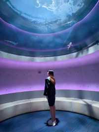 日本景點🇯🇵這個水族館太美了