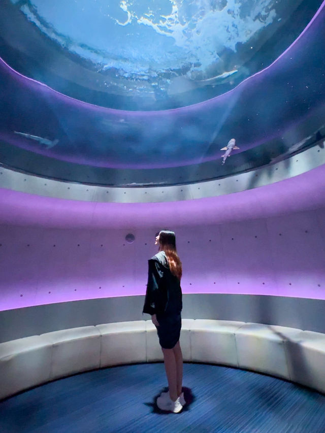 日本景點🇯🇵這個水族館太美了