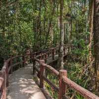 Emerald Pool in Krabi