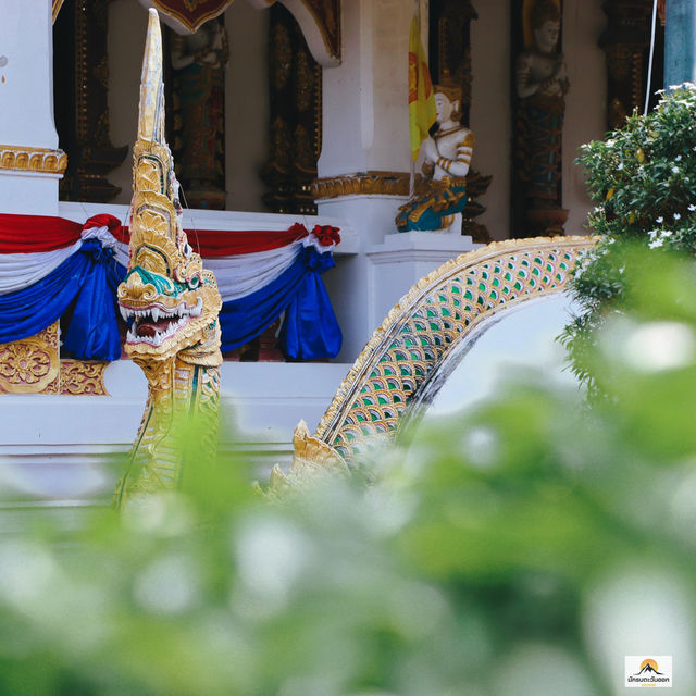 วัดป่าพุทธคยา