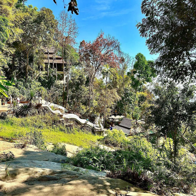 Explore the Tranquility of Wat Pha Lat