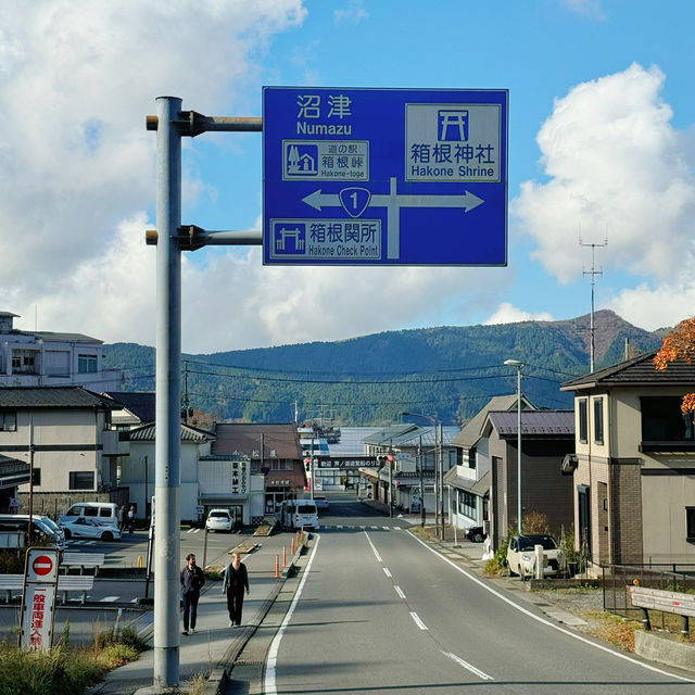Hakone Freepass! Tokyo outskirts hidden gems awaits for exploration!