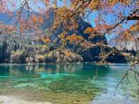 The Kaleidoscope of Five Flower Lake: A Visual Feast in Sichuan
