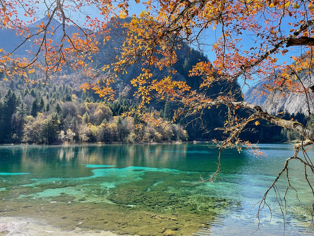 The Kaleidoscope of Five Flower Lake: A Visual Feast in Sichuan