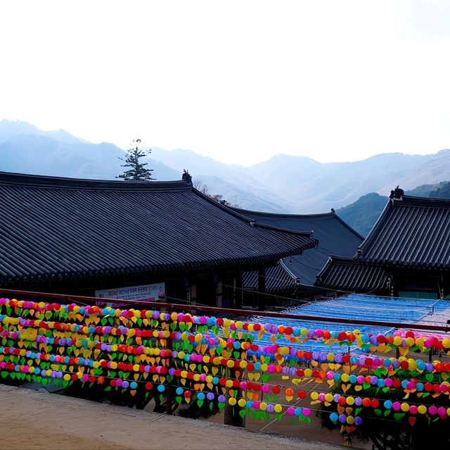 韓國大邱_Haeinsa Temple 해인사 世界文化遺產