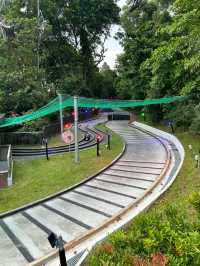 Skyline Luge Singapore: Thrills with a View