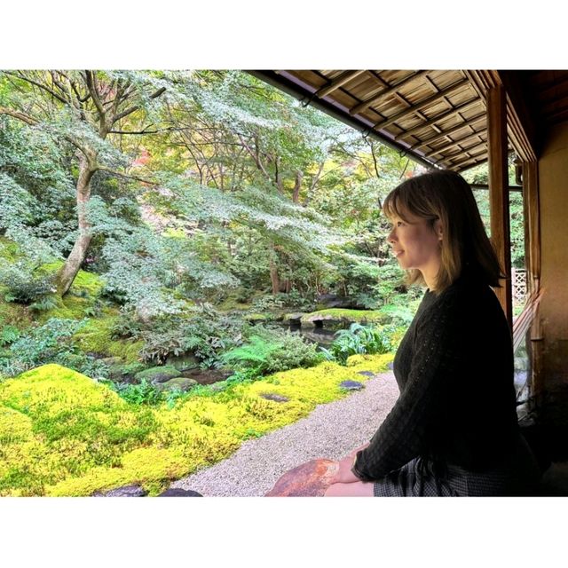 賞楓心靈之旅