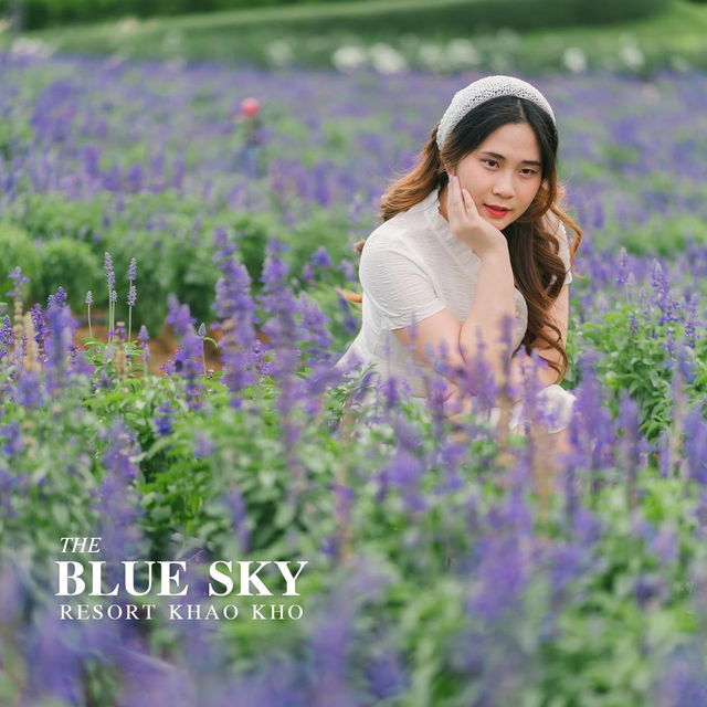 ชวนมาพักที่ 𝗧𝗵𝗲 𝗕𝗹𝘂𝗲 𝗦𝗸𝘆 𝗥𝗲𝘀𝗼𝗿𝘁 
