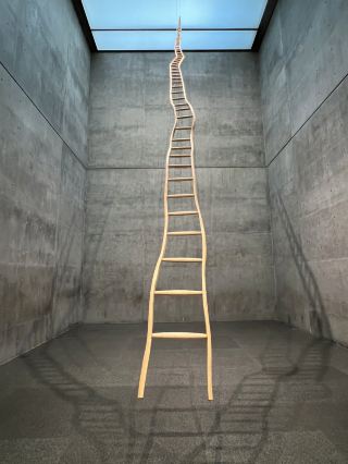 ［沃斯堡旅行］Modern Art Museum of Fort Worth-現代藝術的薰陶🎨