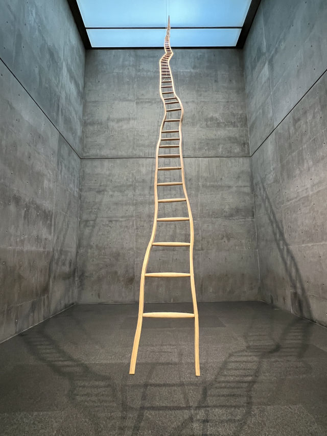 ［沃斯堡旅行］Modern Art Museum of Fort Worth-現代藝術的薰陶🎨
