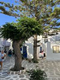 Exploring the Charm of Mykonos