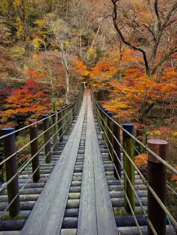 最新】花貫渓谷 - チケット、営業時間、口コミ、写真 [2026年] Trip.com