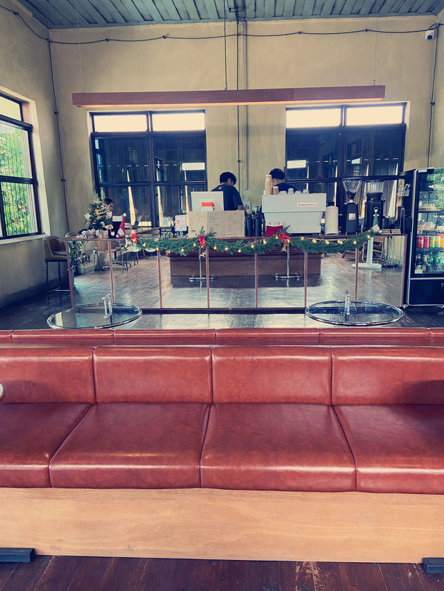 คาเฟ่ดึกเก่า :Apollo Cafe