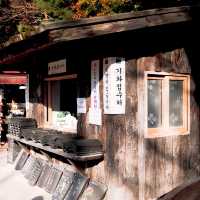 韓國大邱_Bulguksa 불국사 佛國寺_韓國國寶502號