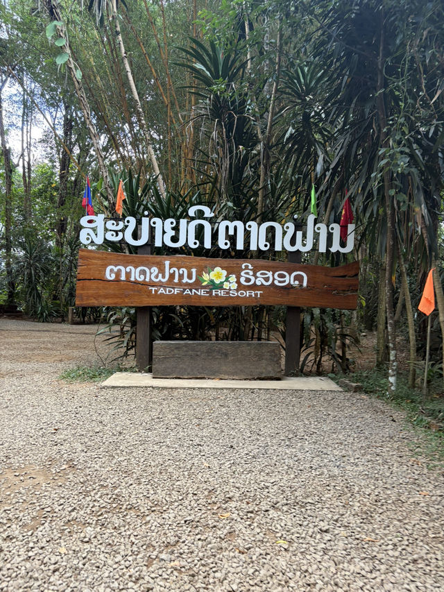 น้ำตกตาดฟาน ไปโหน Zip Line ที่ลาวใต้