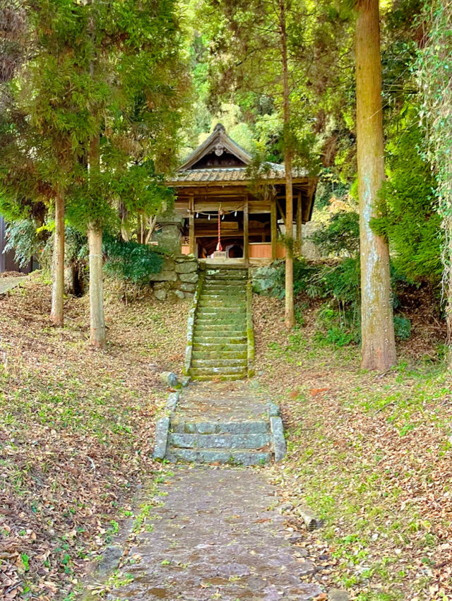 大分の有形文化財😊神秘的な下野熊埜社⛩️✨