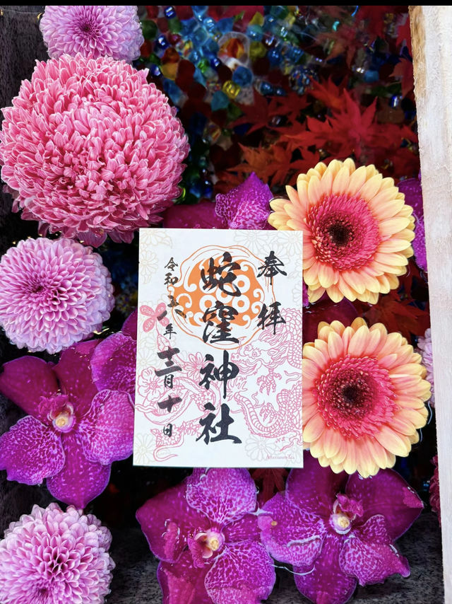 〜東京都〜2025年初詣はココ！ヘビ年に行くべき神社⛩️