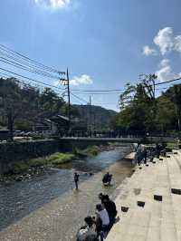【東京近郊】高美山一日遊🌳玩盡纜車吊車🚡輕鬆登頂
