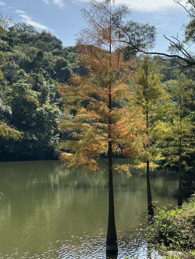 流水響之旅