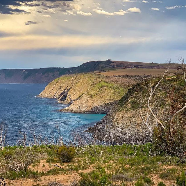 Kangaroo Island South Australia