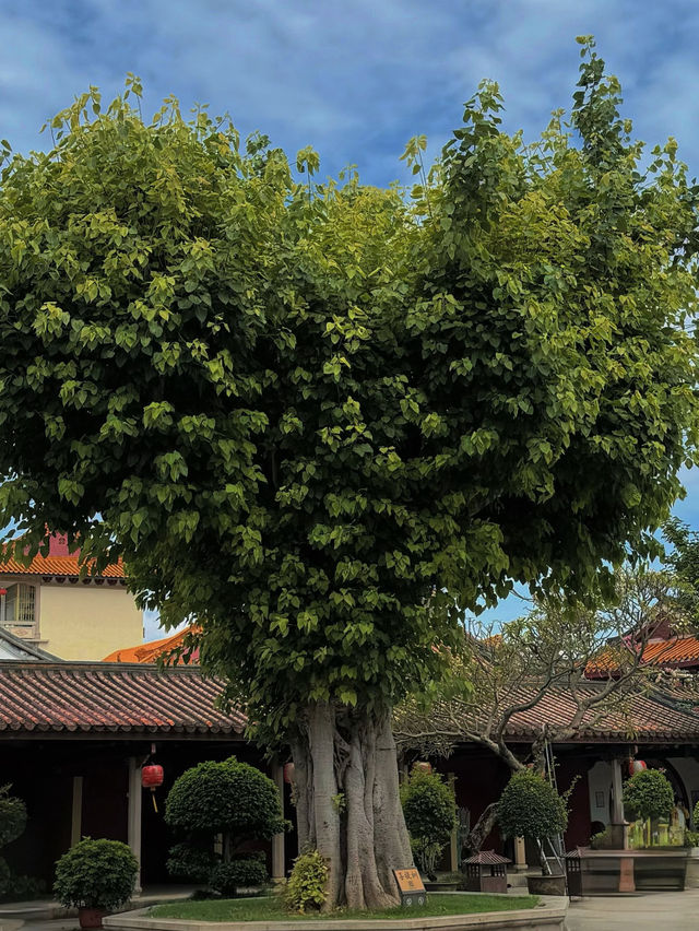 Kaiyuan Temple, Quanzhou (泉州开元寺): A Historic Buddhist Landmark